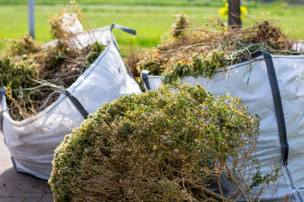 Best Trash Removal Near Me  in Capitan, NM